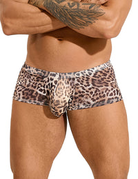 Elegant leopard print boxer by Scandals, showcasing a classic boxer style in sexy mesh.
