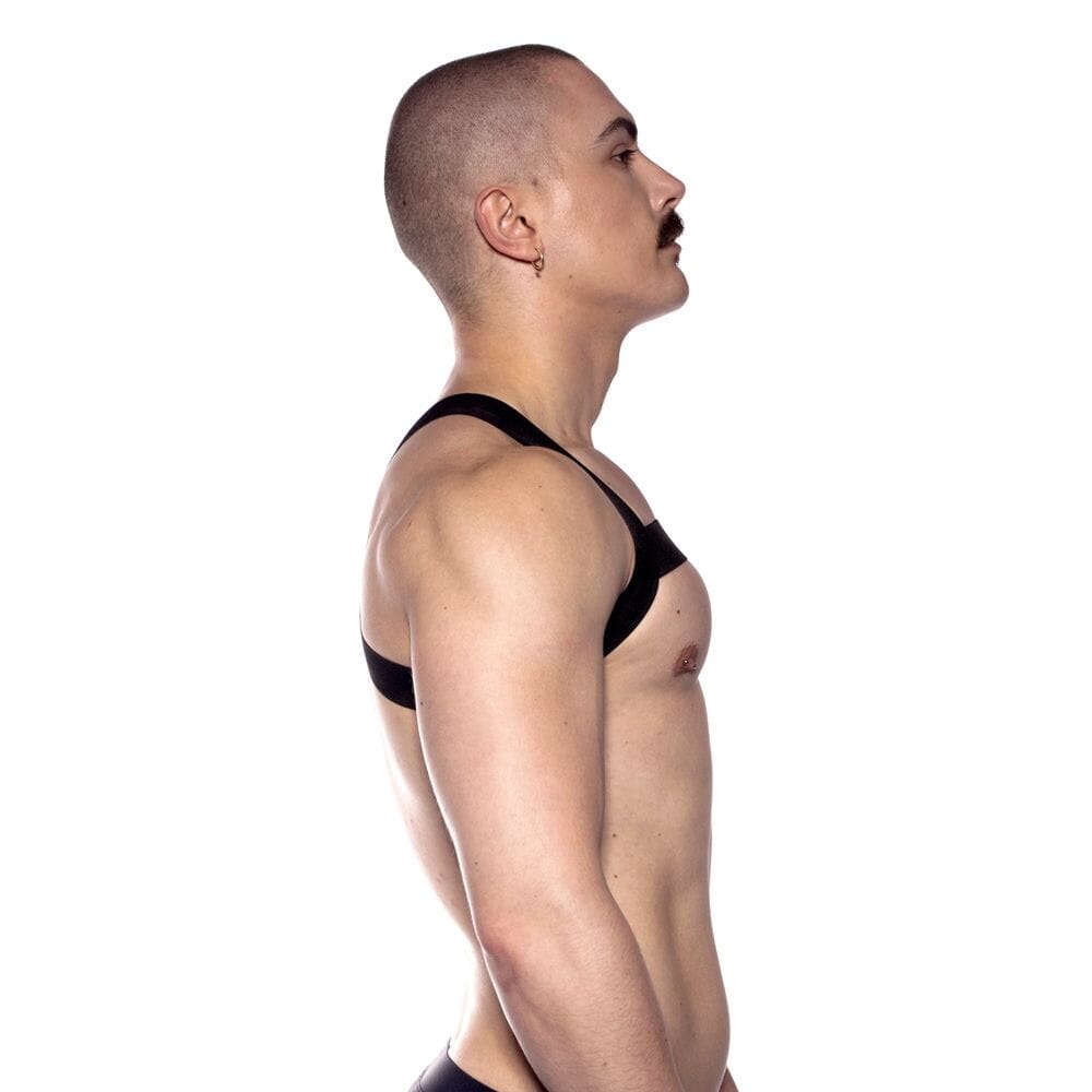 Prowler RED Bulldog Sports Harness Belts & Harnesses Prowler (ABS, ABS PRO) Black S/M