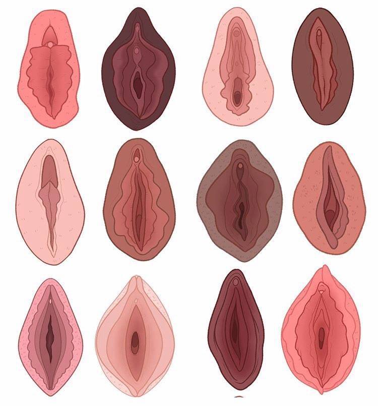 Scandals Travels: The Vagina Museum