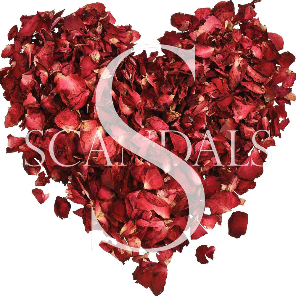 The Scandals Valentines Bundles!