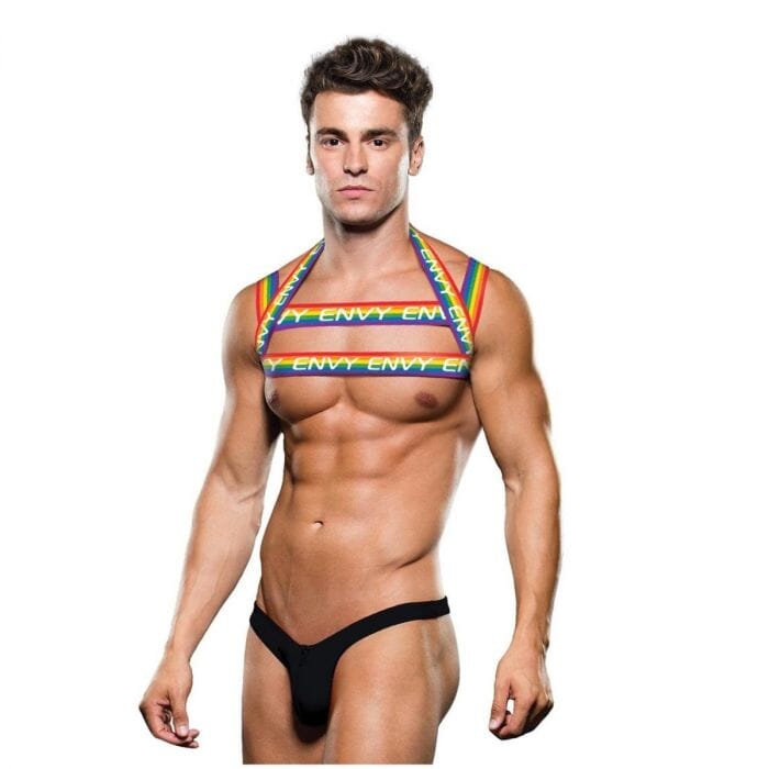 Envy Rainbow men's fetishwear harness with colorful straps, adjustable design, and metal hardware for a bold, edgy look.