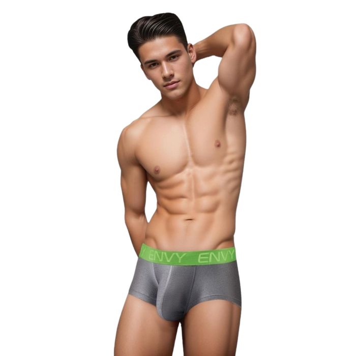 Envy men's metallic shimmering briefs with a sexy, slinky design, highlighting the shiny, form-fitting fabric.