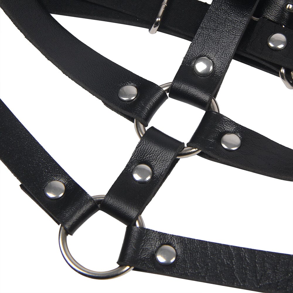 a close up of a black leather harness