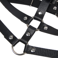 Thumbnail for a close up of a black leather harness