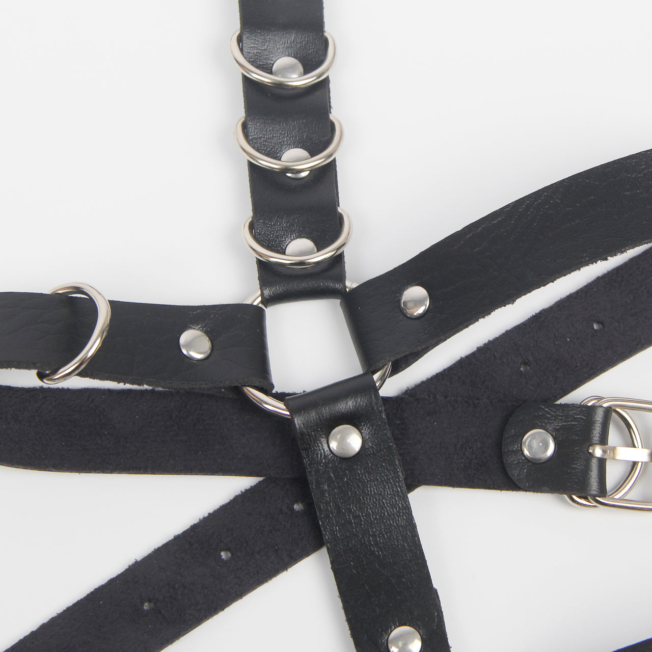 a close up of a black and white horse's bridle