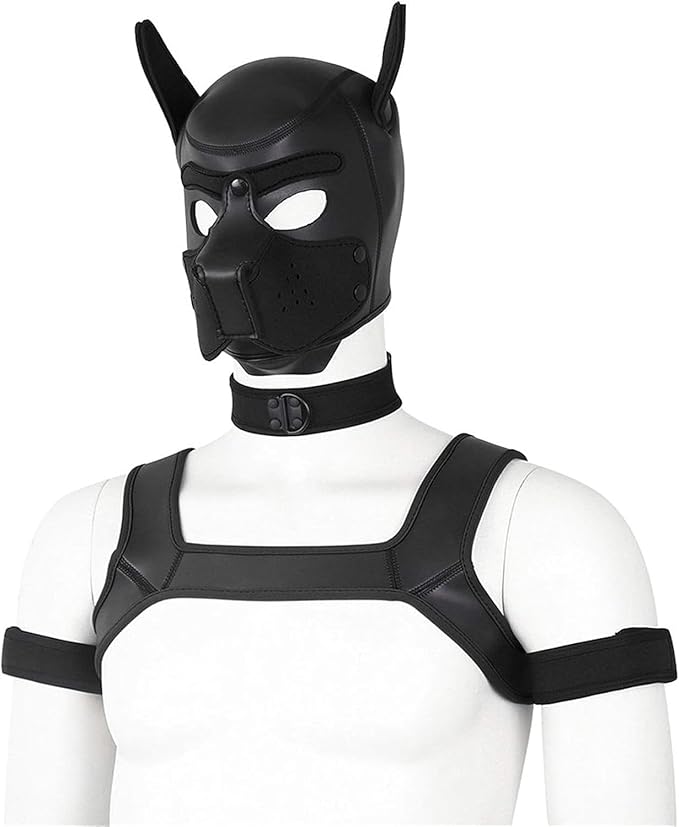 Elegant black harness ensemble including a puppy hood, chest harness, collar, and arm bands, designed for playful exploration.