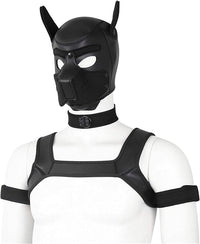 Elegant black harness ensemble including a puppy hood, chest harness, collar, and arm bands, designed for playful exploration.