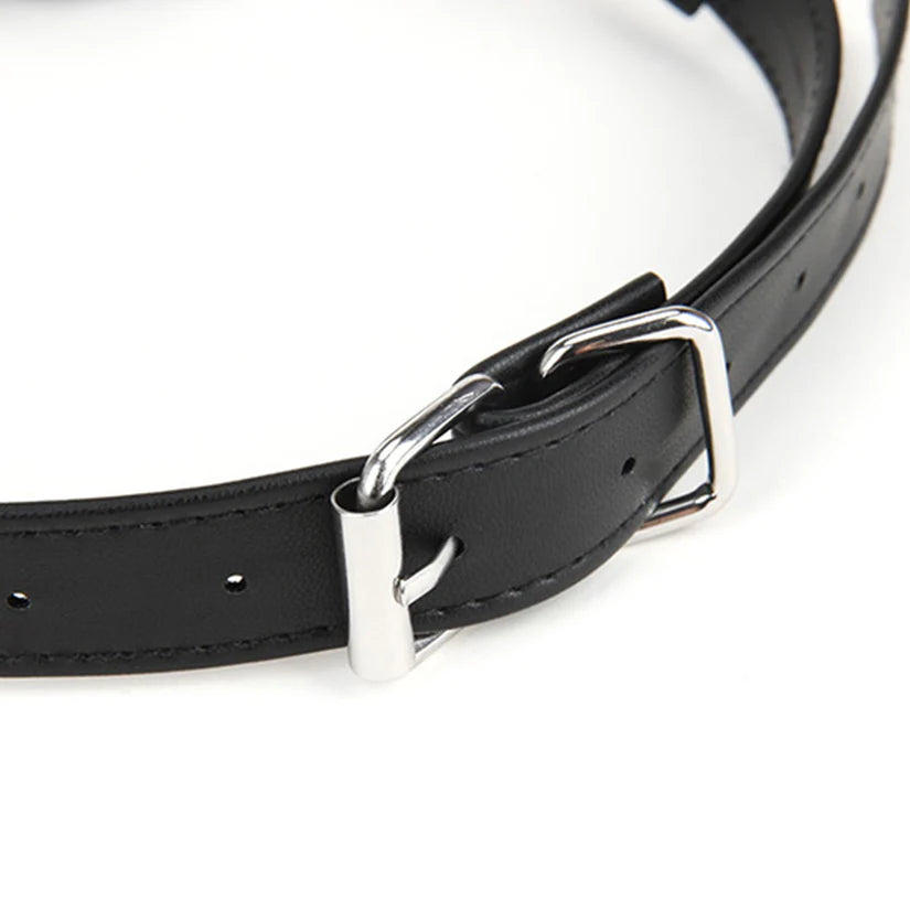 a black leather dog collar with a silver buckle