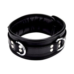 Bound to Please leather collar with padded comfort, padlockable buckle, and three D-rings for secure, stylish restraint.