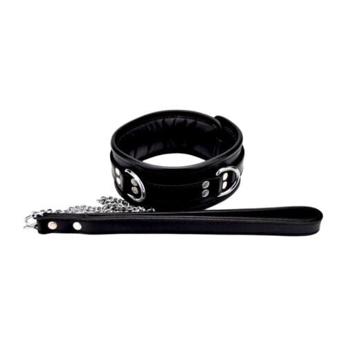 Bound to Please leather collar with padded comfort, padlockable buckle, and three D-rings for secure fittings.