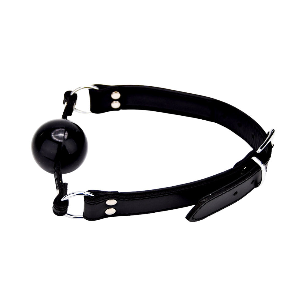 a ball gaggle with a black leather strap