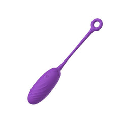 Mina Celeste 10 Function Remote Controlled Love Egg
