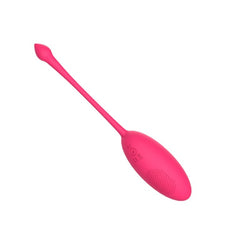 Mina Astral 10 Function Remote Controlled Love Egg