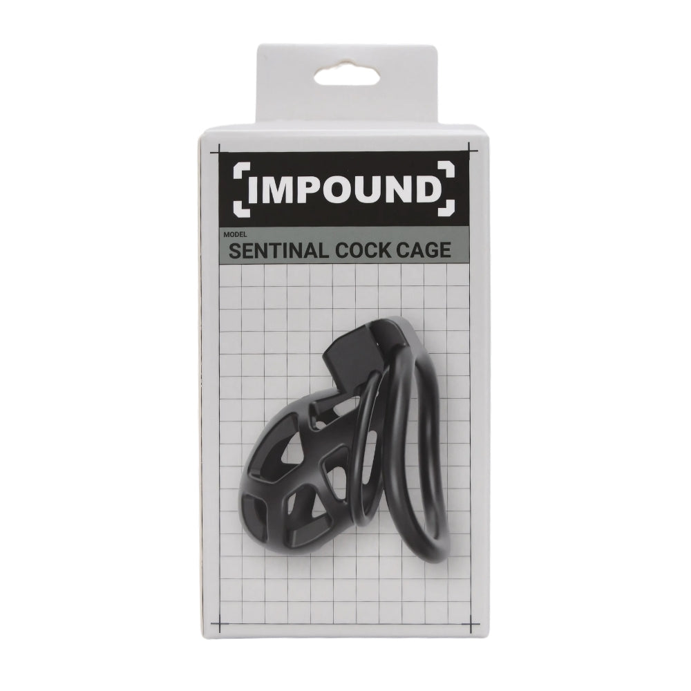 Elegant display of the Impound Sentinal Cock Cage with keys, highlighting its unique features and exquisite finish.
