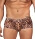 Scandals Mens Leopard Boxers Menswear Scandals Lingerie 