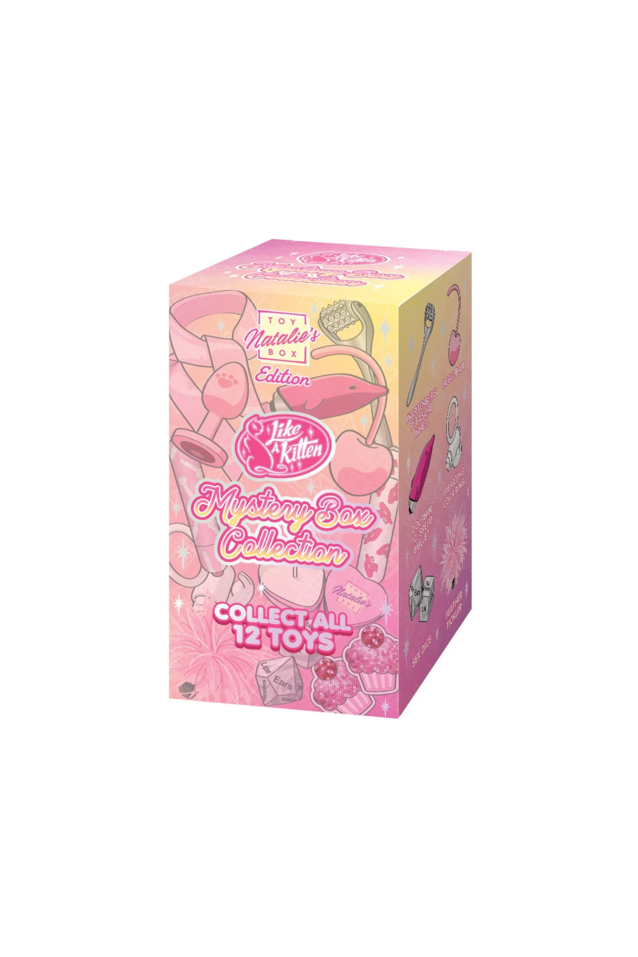 Mystery Box Natalie's Toy Box Edition - 12 to collect