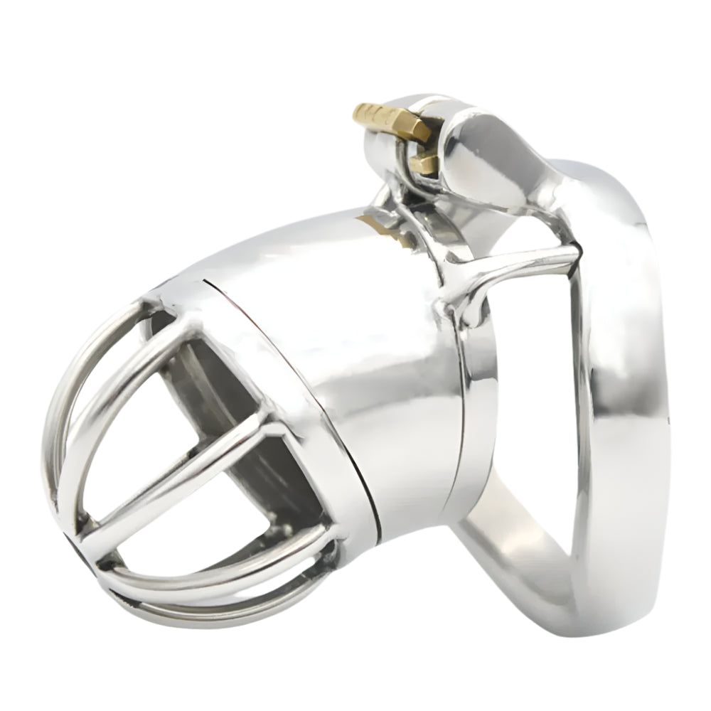 Elegant small stainless steel chastity cage with a prominent birdcage style, highlighting its polished surface and unique locking feature.