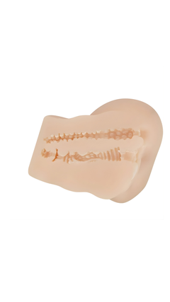 Crazy Bull Hailey realistic masturbation toy featuring detailed vagina and butt designs for adult pleasure.