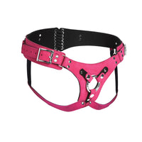 Thumbnail for a pink leather harness with a heart on it