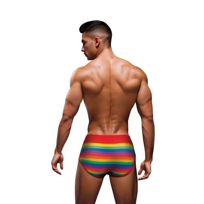 Men's Envy Rainbow Pride Brief with red waistband detail, colorful rainbow striped design, and comfortable fit.