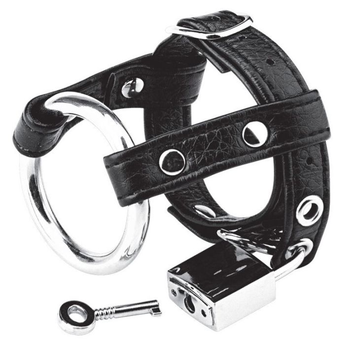 Blue Line Duo Cock and Ball Lock - Black Leather & Metal Locking Ring with Padlock & Key