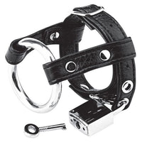 Thumbnail for Blue Line Duo Cock and Ball Lock - Black Leather & Metal Locking Ring with Padlock & Key