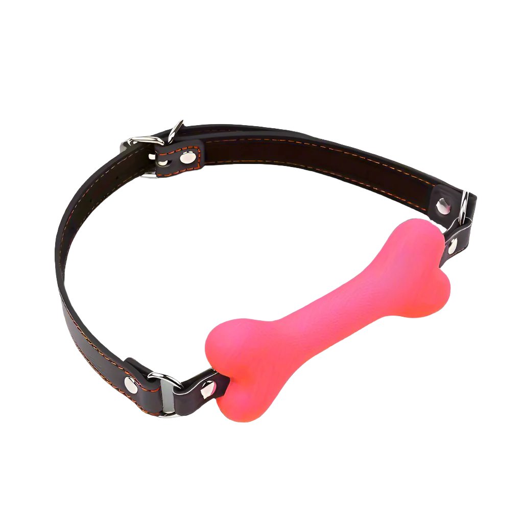 a pink bone bone on a black leather collar