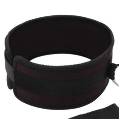 Lux Fetish Collar And Leash Set featuring a comfortable collar and mesh leash