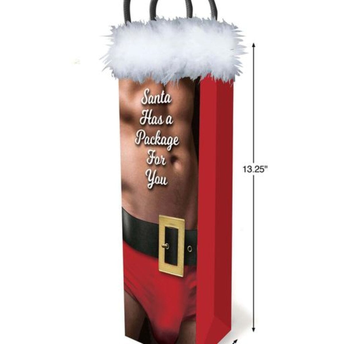 Santa Has A Big Package For You, Gift Bag Gift Little Genie (ABS) 