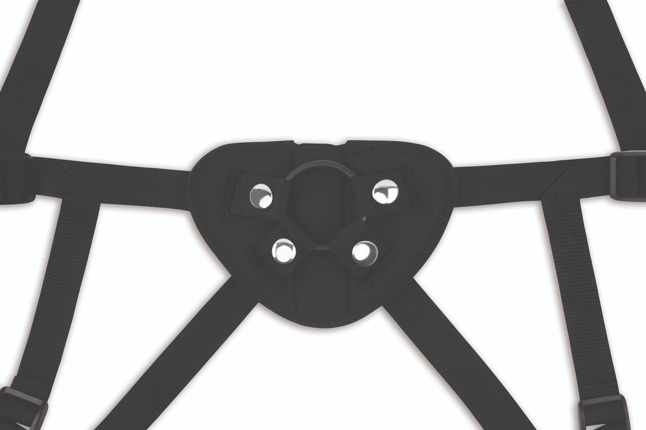 Me You Us Strap-On Harness with Multiple Ring Sizes