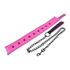 Collar & Leash