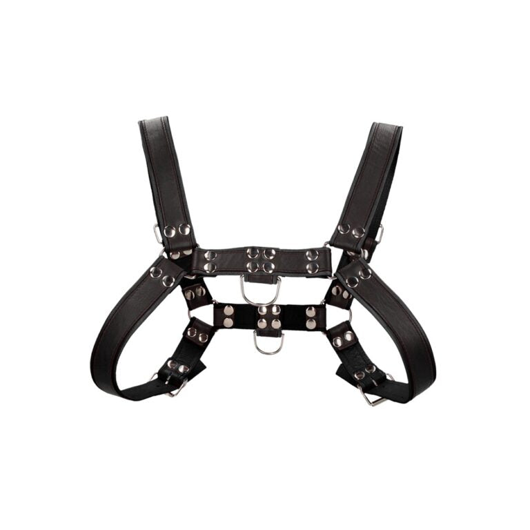 Elegant Bulldog Leather Chest Harness with metal rivet decoration and adjustable buckles for a perfect fit.