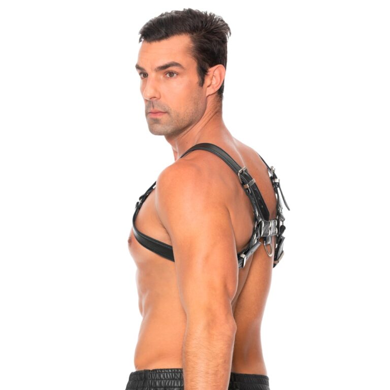Stylish Bulldog Leather Chest Harness showcasing premium quality bonded leather and accentuated by metal details.
