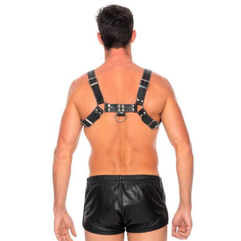 Sophisticated Bulldog Leather Chest Harness, designed with adjustable buckles for comfort and metal O Ring embellishments.