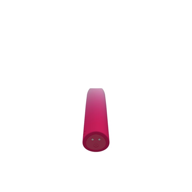 Party Color LIPPY Rechargeable Bullet Vibrator Purple