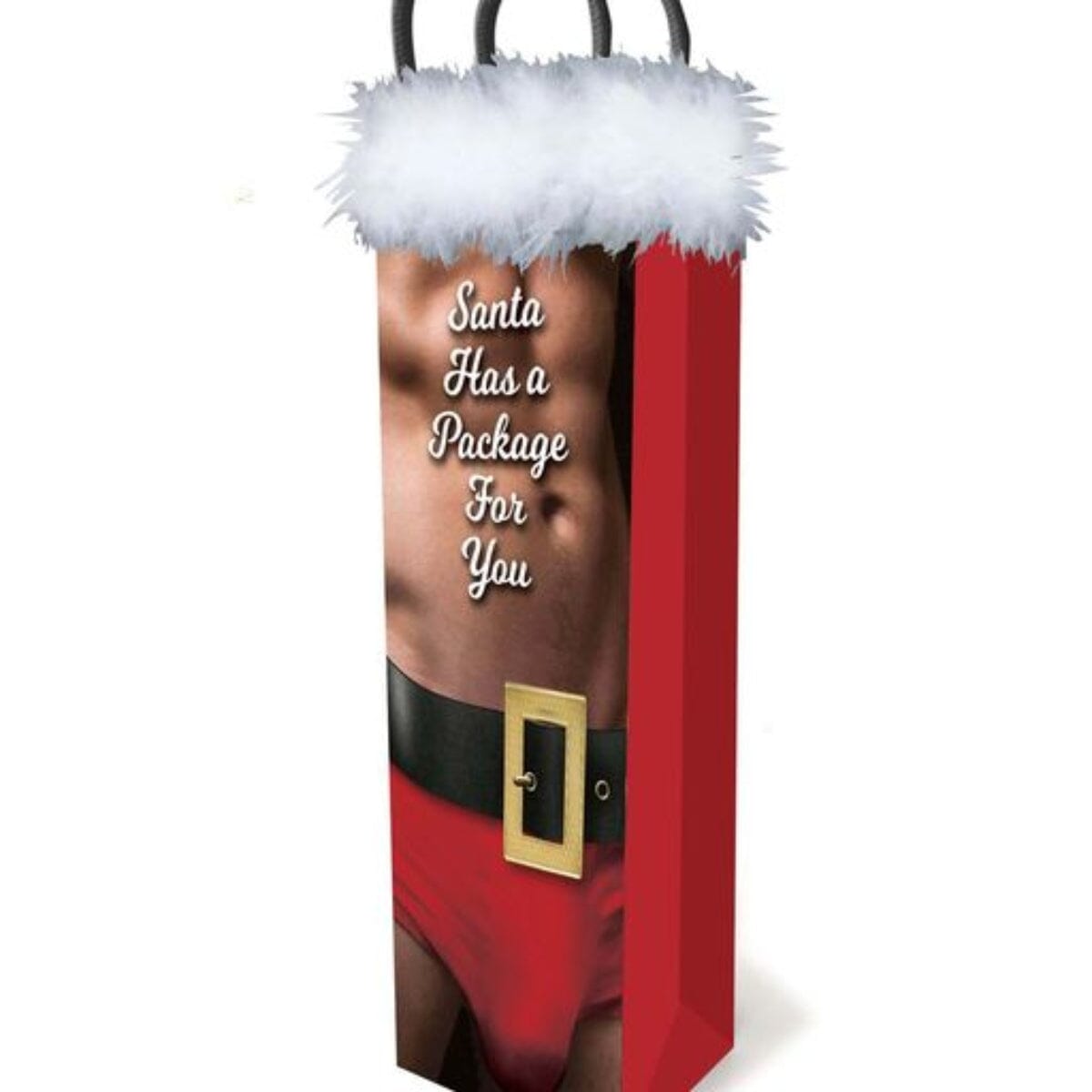 Santa Has A Big Package For You, Gift Bag Gift Little Genie (ABS) 