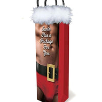 Thumbnail for Santa Has A Big Package For You, Gift Bag Gift Little Genie (ABS) 