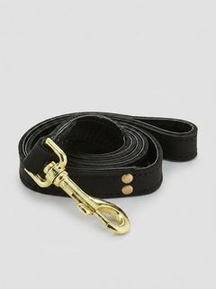 Close-up of the Bound Noir Nubuck Leather Leash highlighting the opulent brass details, ideal for enhancing your stylish adventure with a high-quality Leather Leash.
