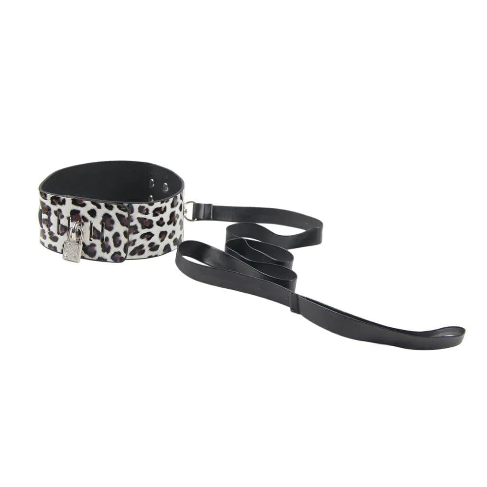leopard print collar and lead 
