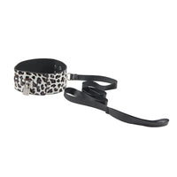 Thumbnail for leopard print collar and lead 