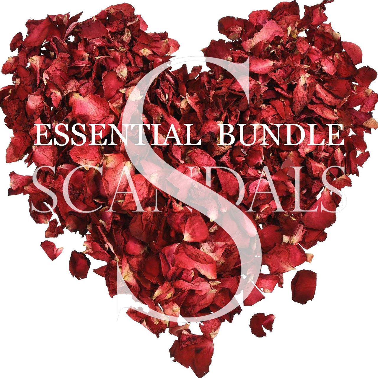 The Scandals Essential Bundle
