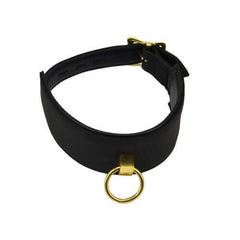 a black leather collar with a gold ring