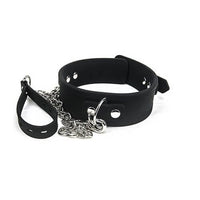 Silicone Collar and Lead Set