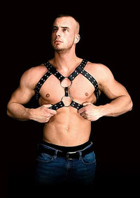 Andreas Harness