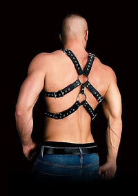 Andreas Harness